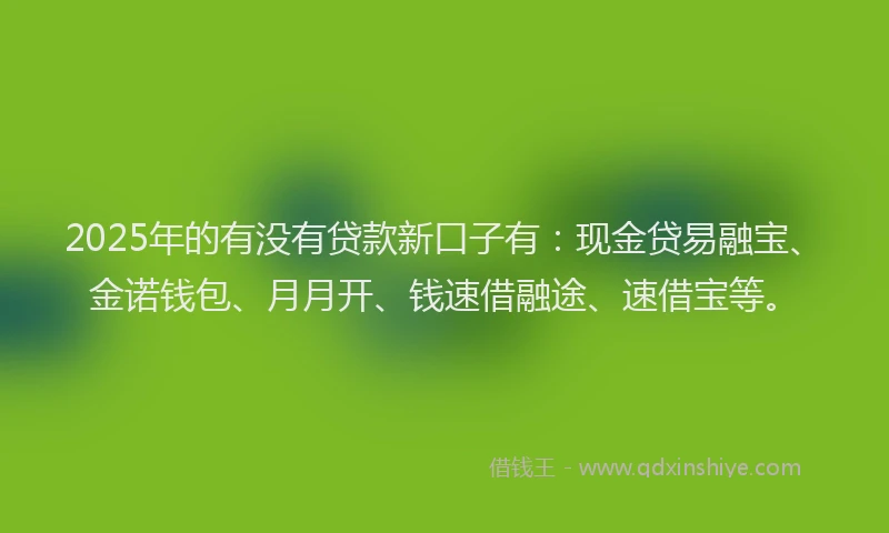 2025年的有没有贷款新口子有：现金贷易融宝、金诺钱包、月月开、钱速借融途、速借宝等。
