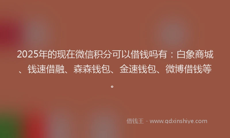 2025年的现在微信积分可以借钱吗有：白象商城、钱速借融、森森钱包、金速钱包、微博借钱等。