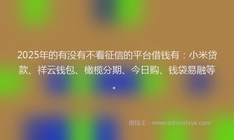 2025年的有没有不看征信的平台借钱有：小米贷款、祥云钱包、橄榄分期、今日购、钱袋易融等。