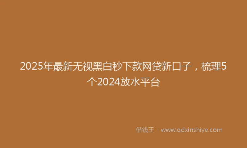 2025年最新无视黑白秒下款网贷新口子，梳理5个2024放水平台