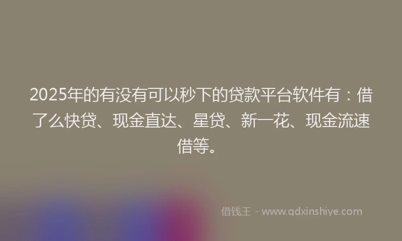2025年的有没有可以秒下的贷款平台软件有：借了么快贷、现金直达、星贷、新一花、现金流速借等。
