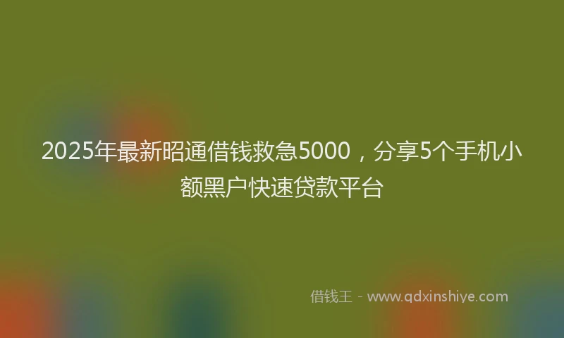 2025年最新昭通借钱救急5000，分享5个手机小额黑户快速贷款平台