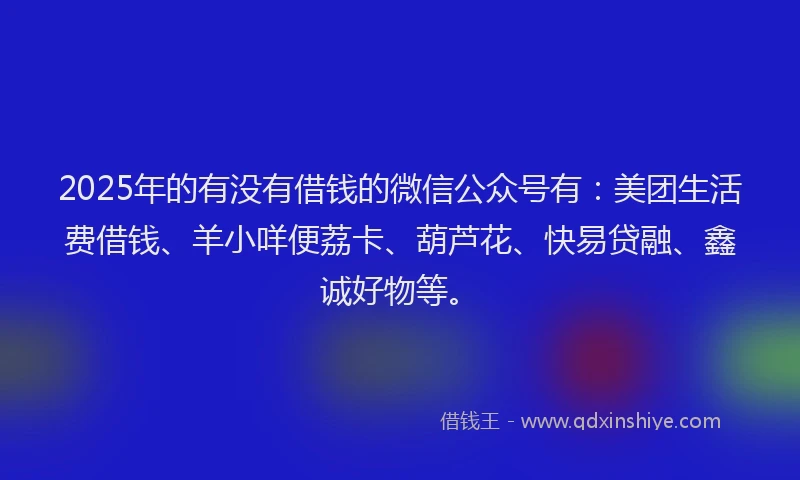 2025年的有没有借钱的微信公众号有：美团生活费借钱、羊小咩便荔卡、葫芦花、快易贷融、鑫诚好物等。