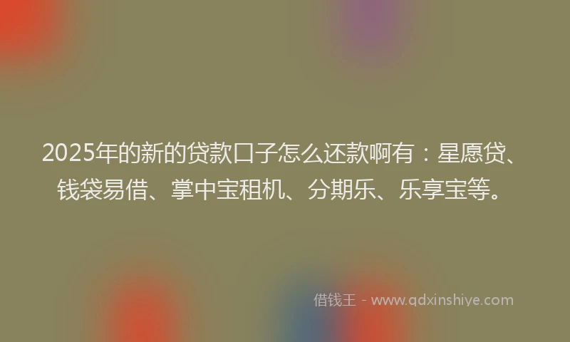 2025年的新的贷款口子怎么还款啊有：星愿贷、钱袋易借、掌中宝租机、分期乐、乐享宝等。