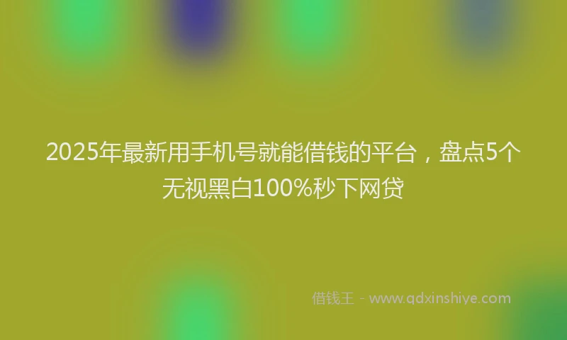 2025年最新用手机号就能借钱的平台，盘点5个无视黑白100%秒下网贷