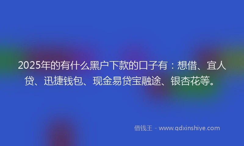 2025年的有什么黑户下款的口子有：想借、宜人贷、迅捷钱包、现金易贷宝融途、银杏花等。