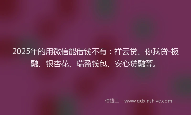 2025年的用微信能借钱不有：祥云贷、你我贷-极融、银杏花、瑞盈钱包、安心贷融等。