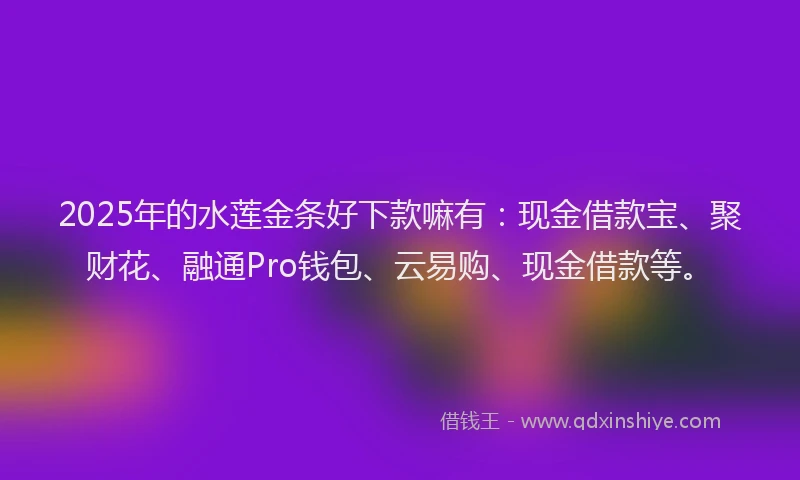 2025年的水莲金条好下款嘛有：现金借款宝、聚财花、融通Pro钱包、云易购、现金借款等。