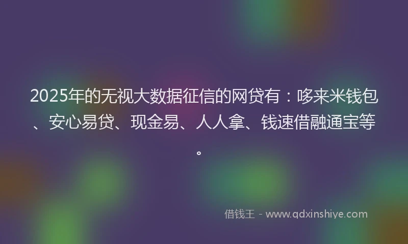 2025年的无视大数据征信的网贷有：哆来米钱包、安心易贷、现金易、人人拿、钱速借融通宝等。