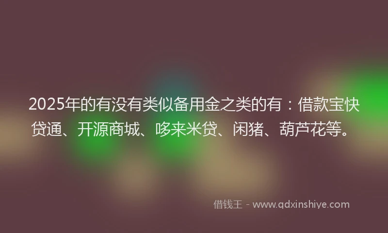 2025年的有没有类似备用金之类的有：借款宝快贷通、开源商城、哆来米贷、闲猪、葫芦花等。