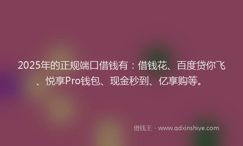2025年的正规端口借钱有：借钱花、百度贷你飞、悦享Pro钱包、现金秒到、亿享购等。