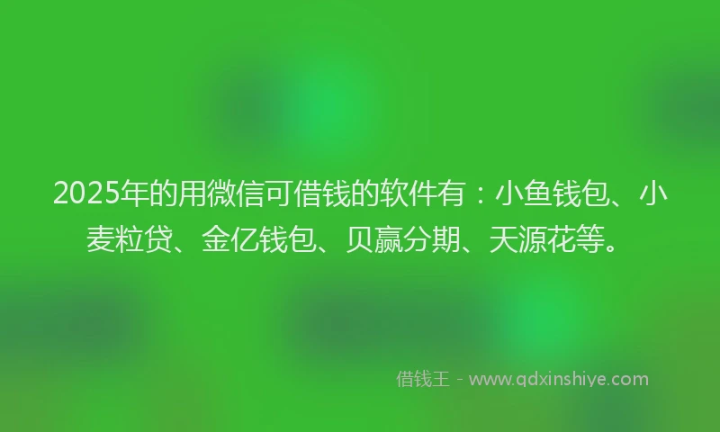 2025年的用微信可借钱的软件有：小鱼钱包、小麦粒贷、金亿钱包、贝赢分期、天源花等。