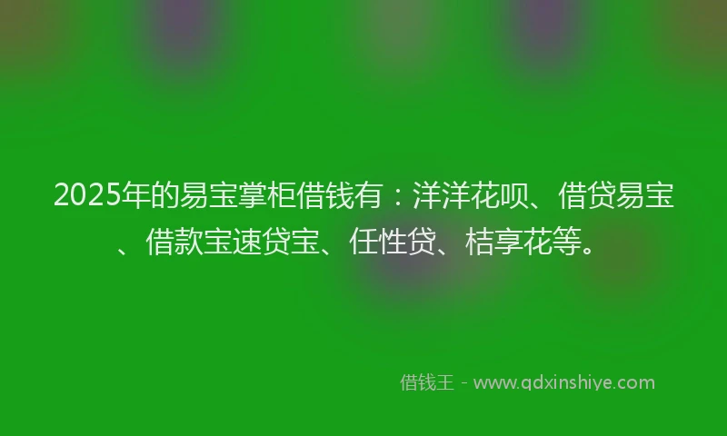 2025年的易宝掌柜借钱有：洋洋花呗、借贷易宝、借款宝速贷宝、任性贷、桔享花等。
