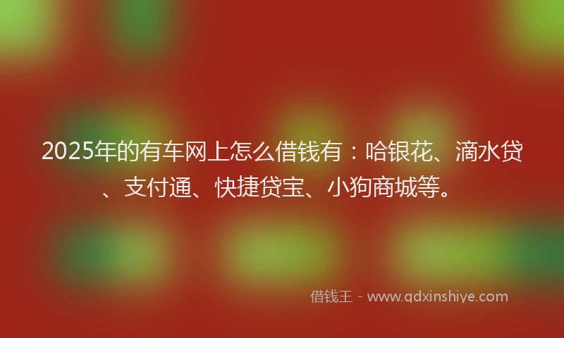 2025年的有车网上怎么借钱有：哈银花、滴水贷、支付通、快捷贷宝、小狗商城等。