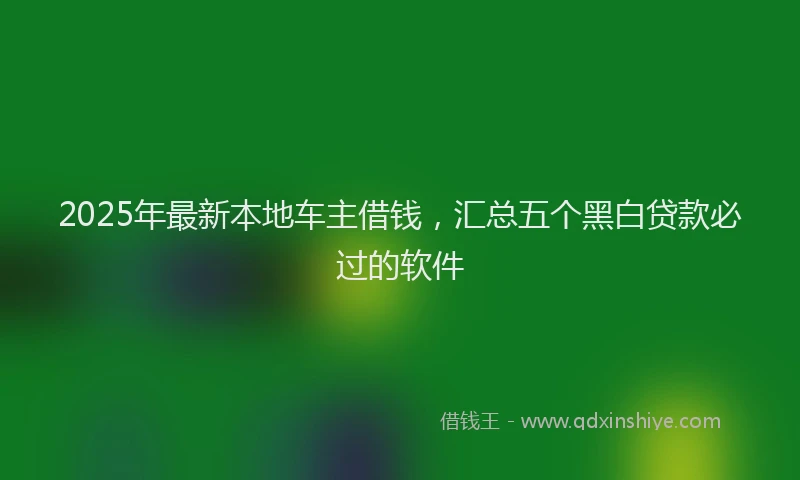 2025年最新本地车主借钱，汇总五个黑白贷款必过的软件