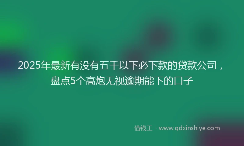 2025年最新有没有五千以下必下款的贷款公司，盘点5个高炮无视逾期能下的口子