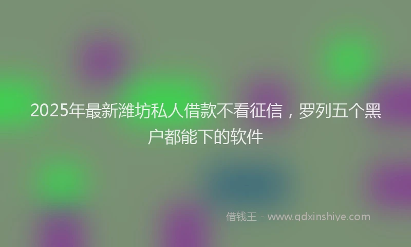 2025年最新潍坊私人借款不看征信，罗列五个黑户都能下的软件