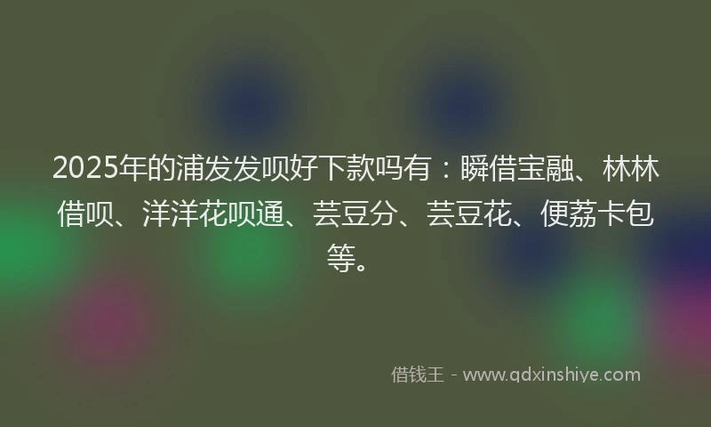 2025年的浦发发呗好下款吗有：瞬借宝融、林林借呗、洋洋花呗通、芸豆分、芸豆花、便荔卡包等。
