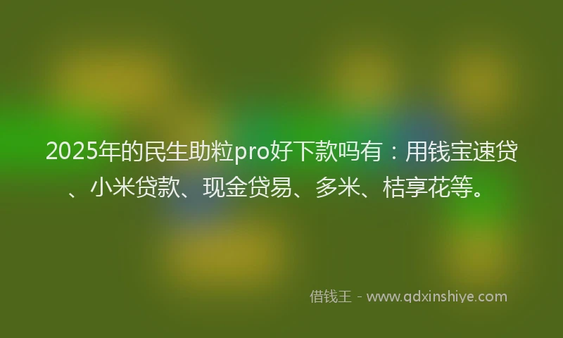 2025年的民生助粒pro好下款吗有：用钱宝速贷、小米贷款、现金贷易、多米、桔享花等。