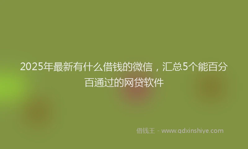 2025年最新有什么借钱的微信，汇总5个能百分百通过的网贷软件