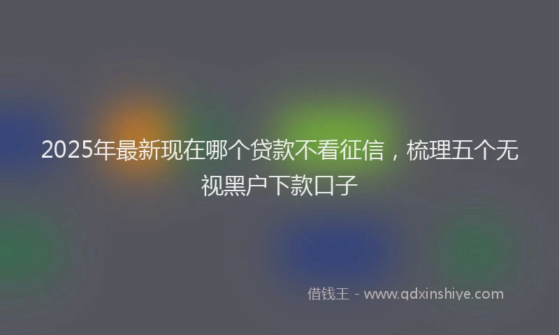 2025年最新现在哪个贷款不看征信，梳理五个无视黑户下款口子