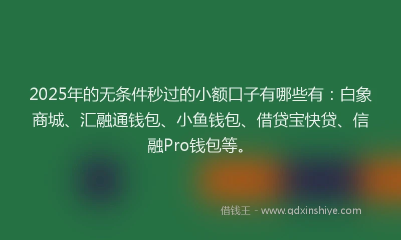 2025年的无条件秒过的小额口子有哪些有：白象商城、汇融通钱包、小鱼钱包、借贷宝快贷、信融Pro钱包等。