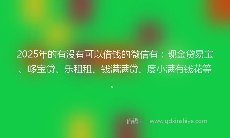 2025年的有没有可以借钱的微信有：现金贷易宝、哆宝贷、乐租租、钱满满贷、度小满有钱花等。