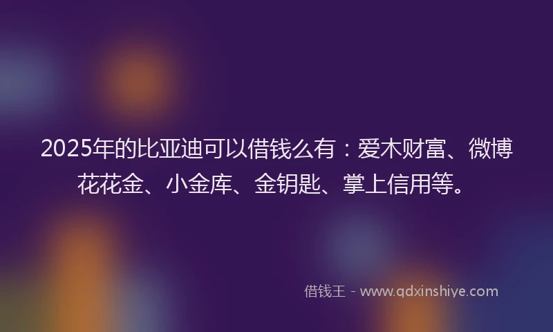 2025年的比亚迪可以借钱么有：爱木财富、微博花花金、小金库、金钥匙、掌上信用等。