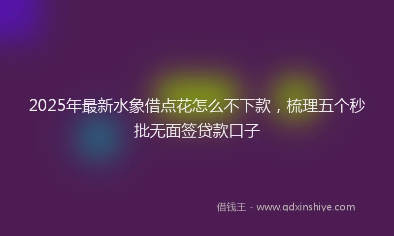 2025年最新水象借点花怎么不下款，梳理五个秒批无面签贷款口子