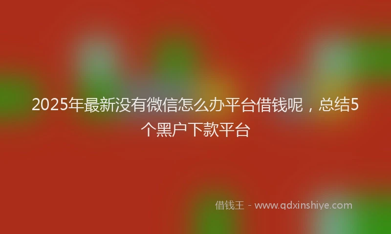 2025年最新没有微信怎么办平台借钱呢，总结5个黑户下款平台