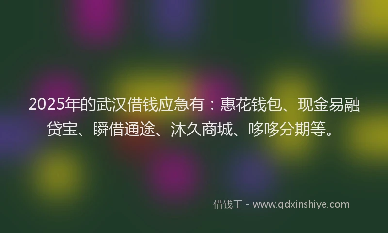 2025年的武汉借钱应急有：惠花钱包、现金易融贷宝、瞬借通途、沐久商城、哆哆分期等。