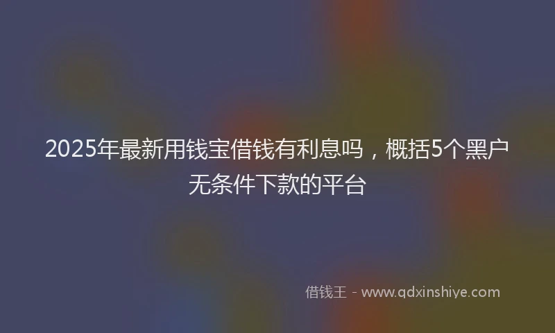 2025年最新用钱宝借钱有利息吗，概括5个黑户无条件下款的平台
