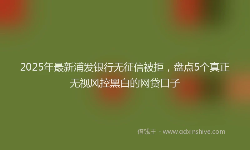 2025年最新浦发银行无征信被拒，盘点5个真正无视风控黑白的网贷口子