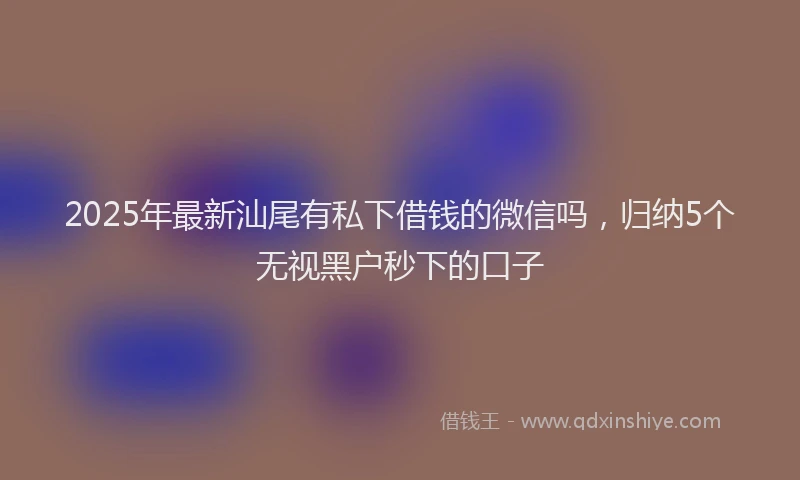 2025年最新汕尾有私下借钱的微信吗，归纳5个无视黑户秒下的口子