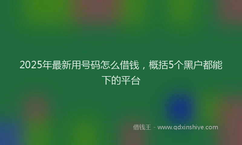 2025年最新用号码怎么借钱，概括5个黑户都能下的平台