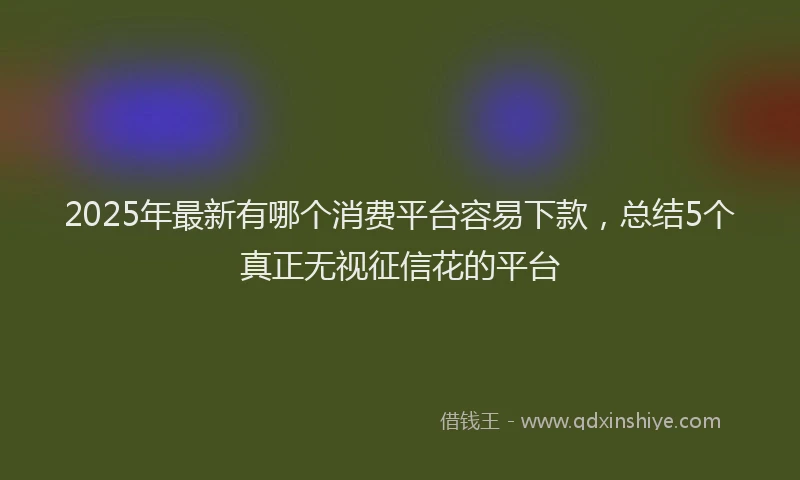 2025年最新有哪个消费平台容易下款，总结5个真正无视征信花的平台