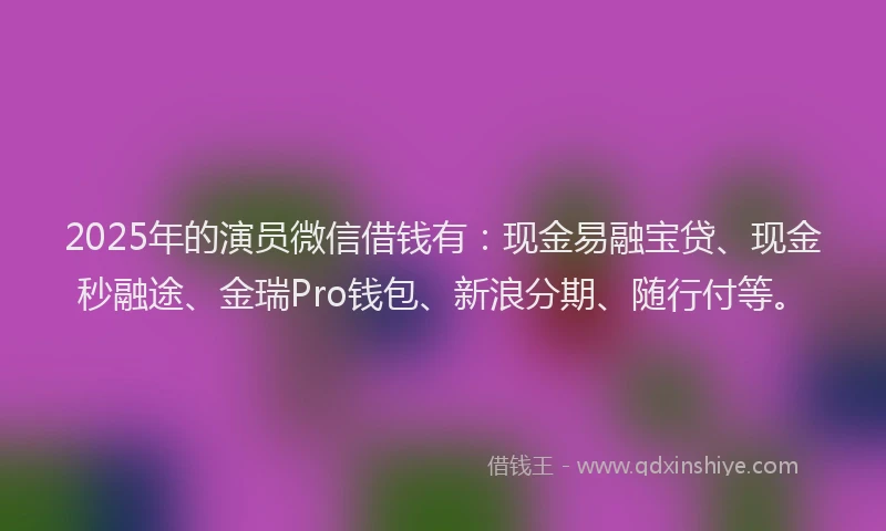 2025年的演员微信借钱有：现金易融宝贷、现金秒融途、金瑞Pro钱包、新浪分期、随行付等。