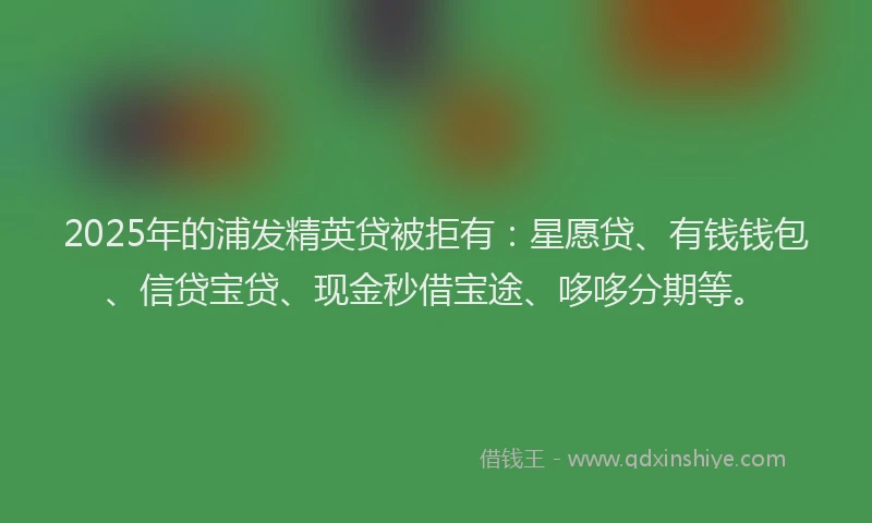 2025年的浦发精英贷被拒有：星愿贷、有钱钱包、信贷宝贷、现金秒借宝途、哆哆分期等。