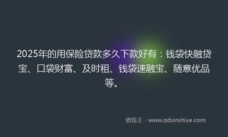 2025年的用保险贷款多久下款好有：钱袋快融贷宝、口袋财富、及时租、钱袋速融宝、随意优品等。