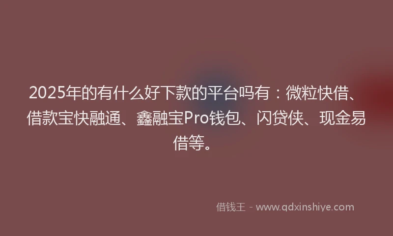 2025年的有什么好下款的平台吗有：微粒快借、借款宝快融通、鑫融宝Pro钱包、闪贷侠、现金易借等。