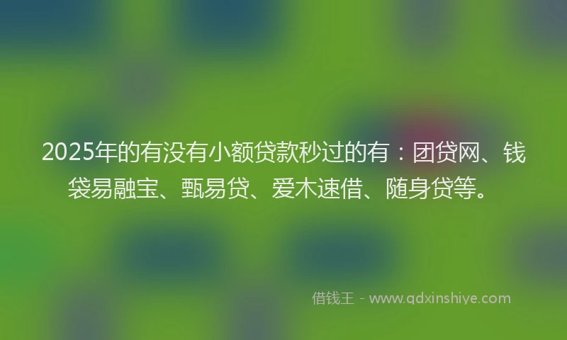 2025年的有没有小额贷款秒过的有：团贷网、钱袋易融宝、甄易贷、爱木速借、随身贷等。