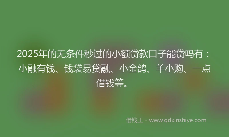 2025年的无条件秒过的小额贷款口子能贷吗有：小融有钱、钱袋易贷融、小金鸽、羊小购、一点借钱等。
