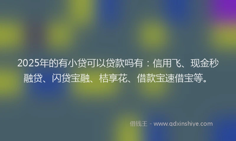 2025年的有小贷可以贷款吗有：信用飞、现金秒融贷、闪贷宝融、桔享花、借款宝速借宝等。