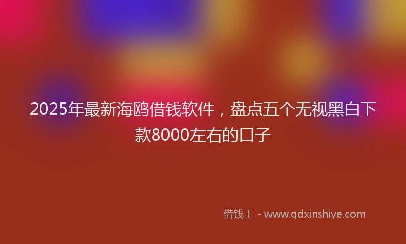 2025年最新海鸥借钱软件，盘点五个无视黑白下款8000左右的口子