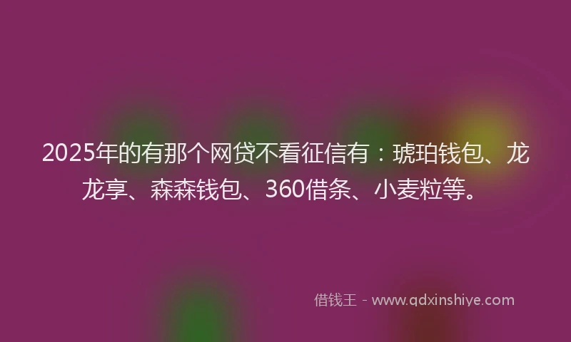 2025年的有那个网贷不看征信有：琥珀钱包、龙龙享、森森钱包、360借条、小麦粒等。
