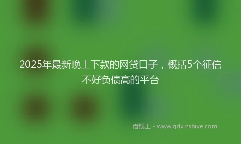 2025年最新晚上下款的网贷口子，概括5个征信不好负债高的平台