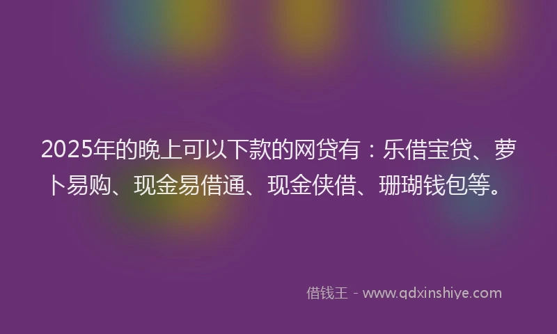 2025年的晚上可以下款的网贷有：乐借宝贷、萝卜易购、现金易借通、现金侠借、珊瑚钱包等。
