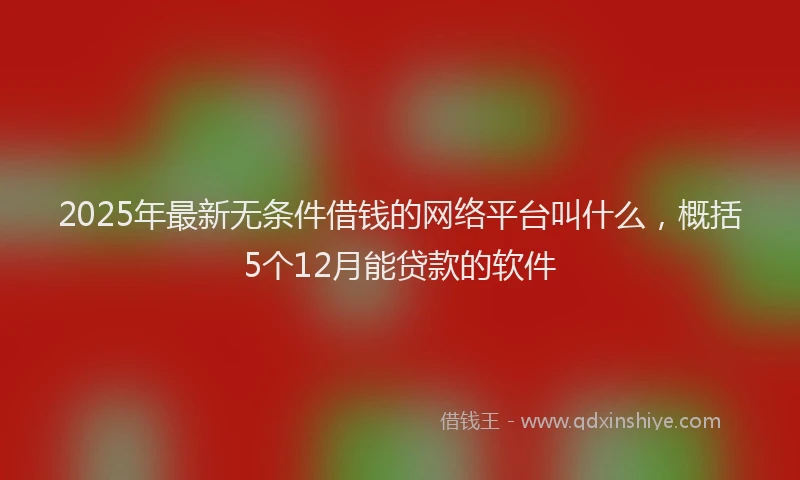 2025年最新无条件借钱的网络平台叫什么，概括5个12月能贷款的软件