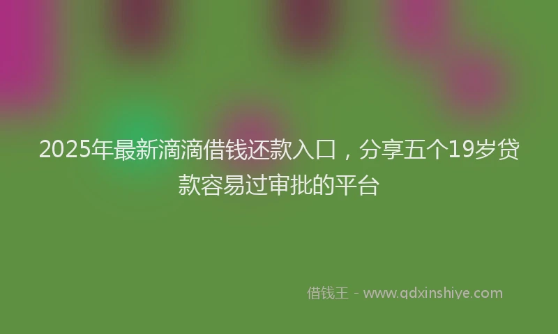 2025年最新滴滴借钱还款入口，分享五个19岁贷款容易过审批的平台