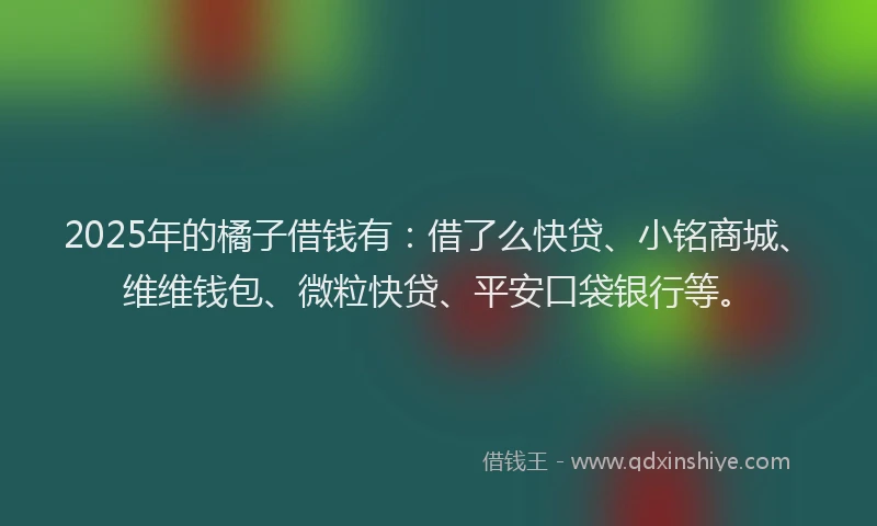 2025年的橘子借钱有：借了么快贷、小铭商城、维维钱包、微粒快贷、平安口袋银行等。